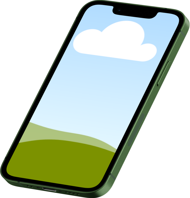 Portable
